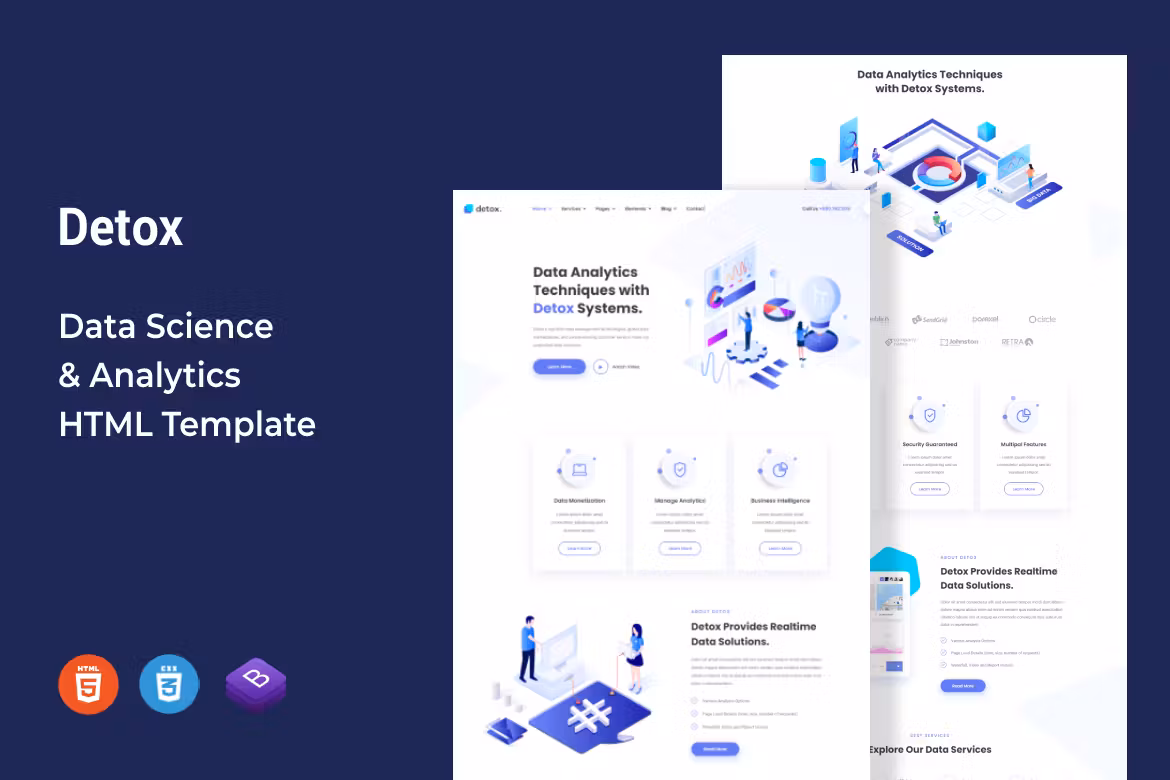 Detox data science and analytics website